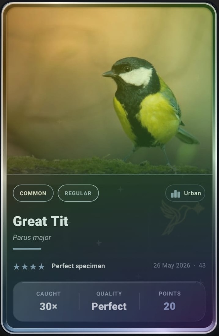 Great Tit card