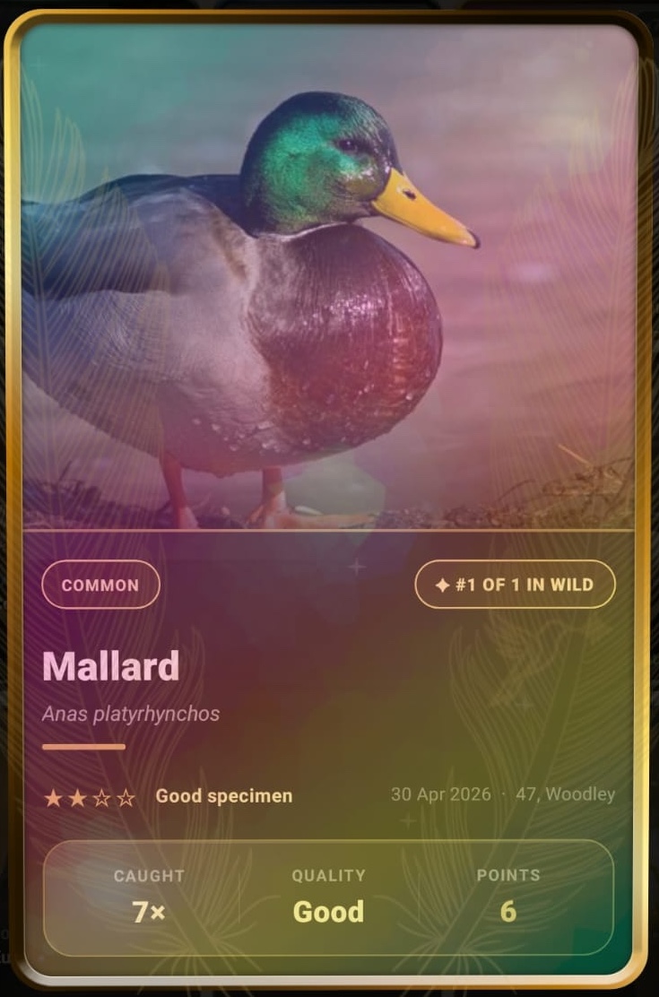Mallard card